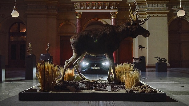 The art of safety: a night-time museum visit with Mercedes-Benz, ESP® and a moose.