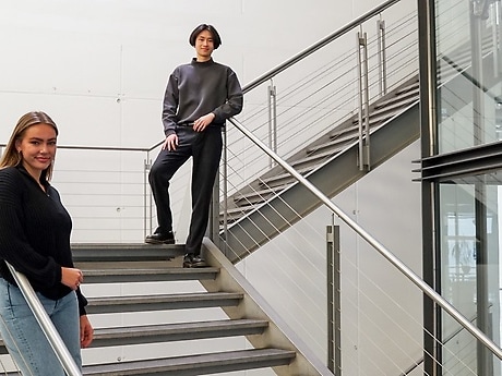 Beitlich und Nguyen DH