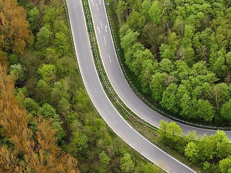 Straße führt durch einen Wald.