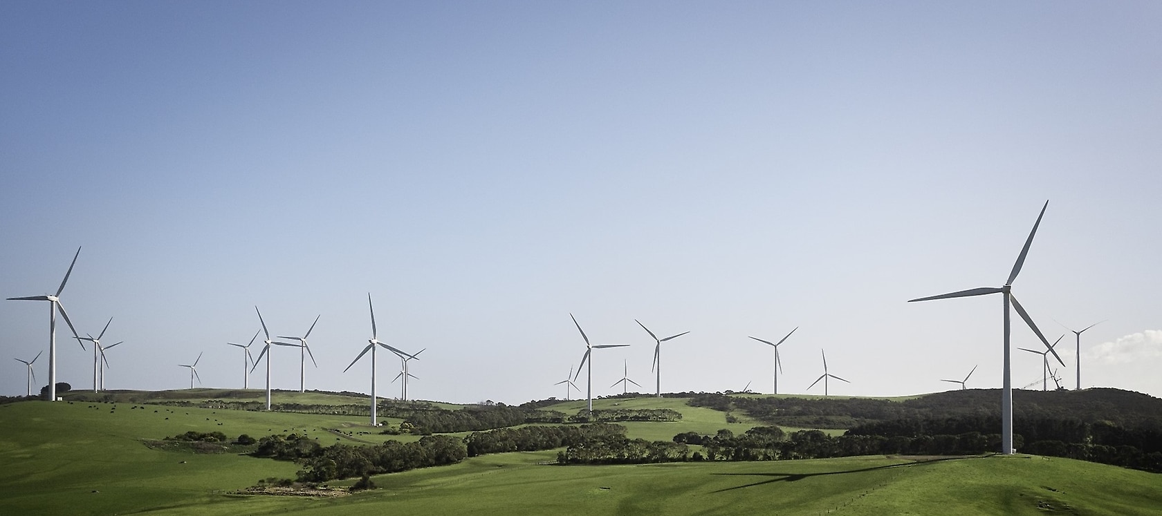 Windräder.