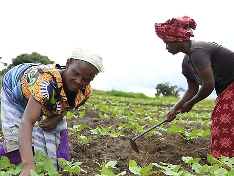 With sustainable agriculture projects, alternative livelihoods are created especially for women.