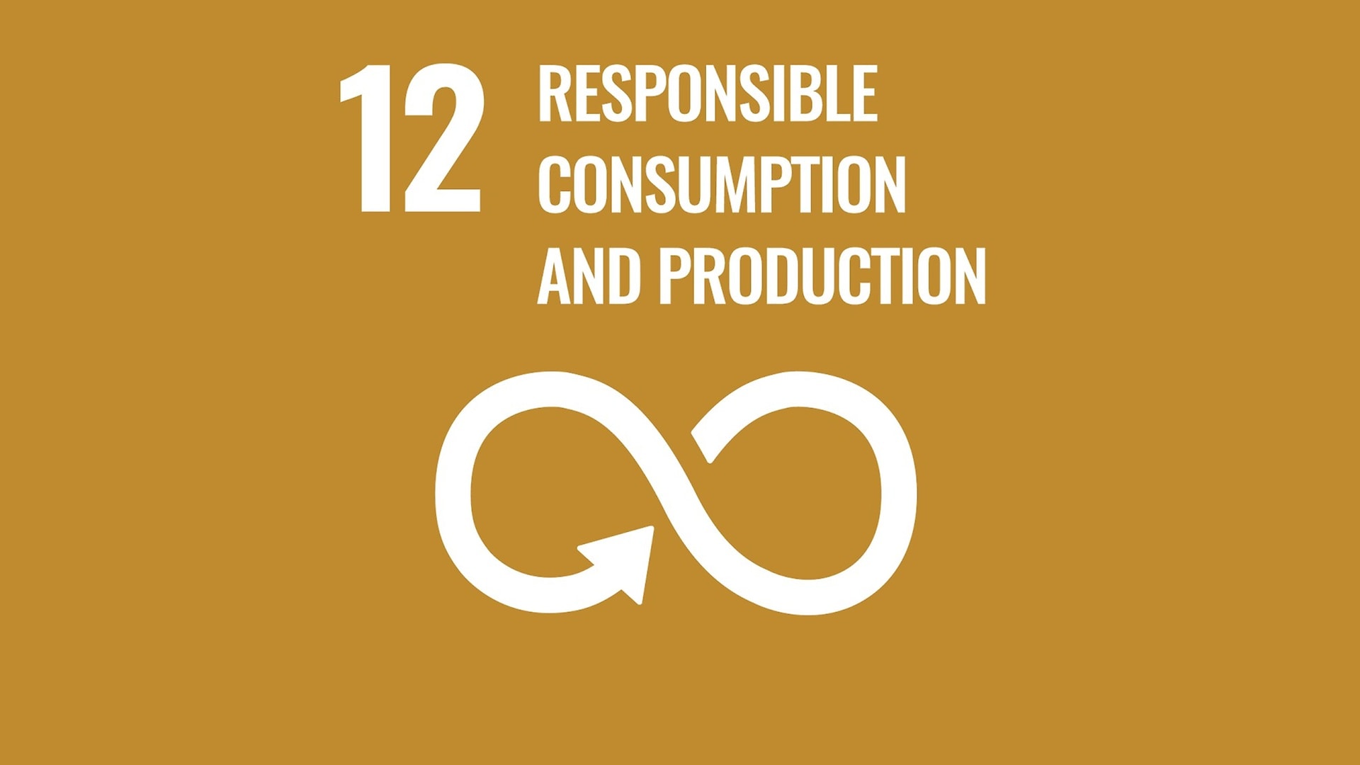 Sustainable Development Goal 12: Responsible consumption and production. 