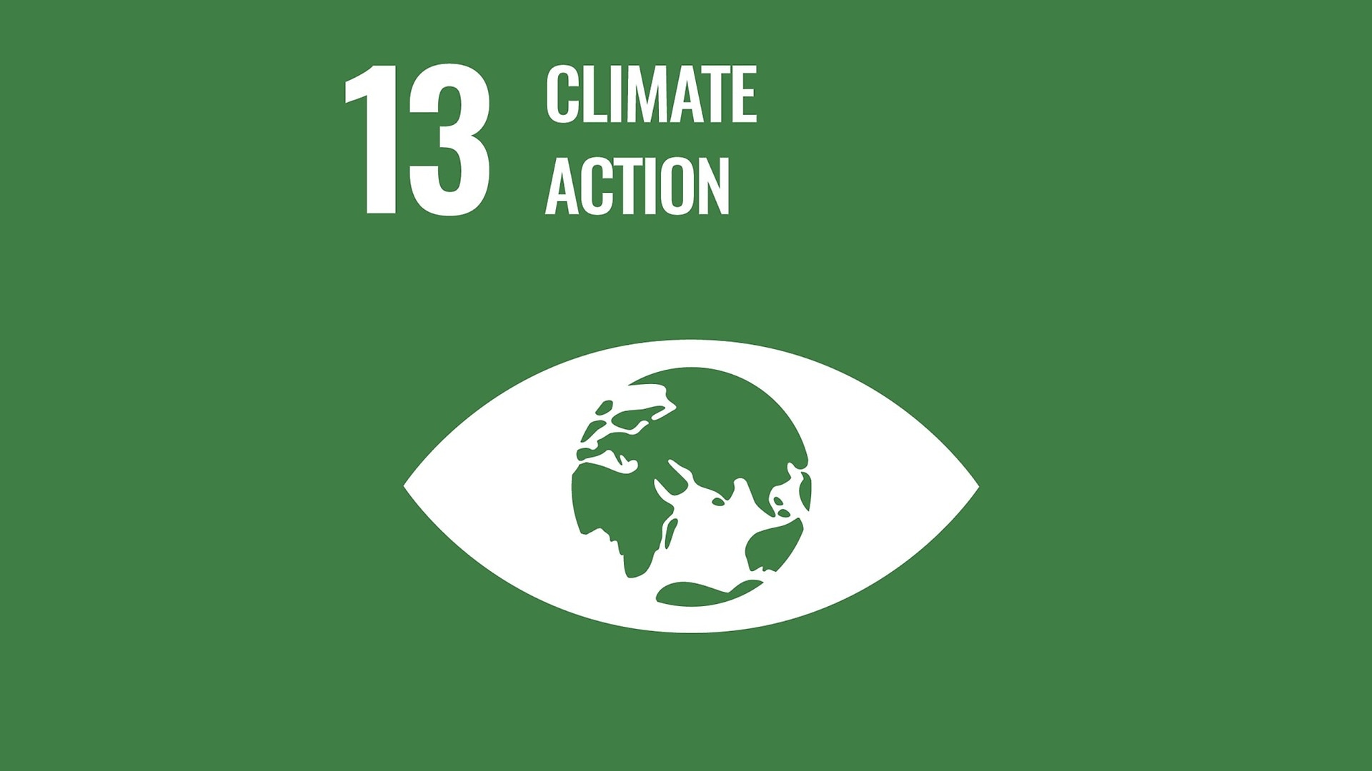 Sustainable Development Goal 13: Climate action. 