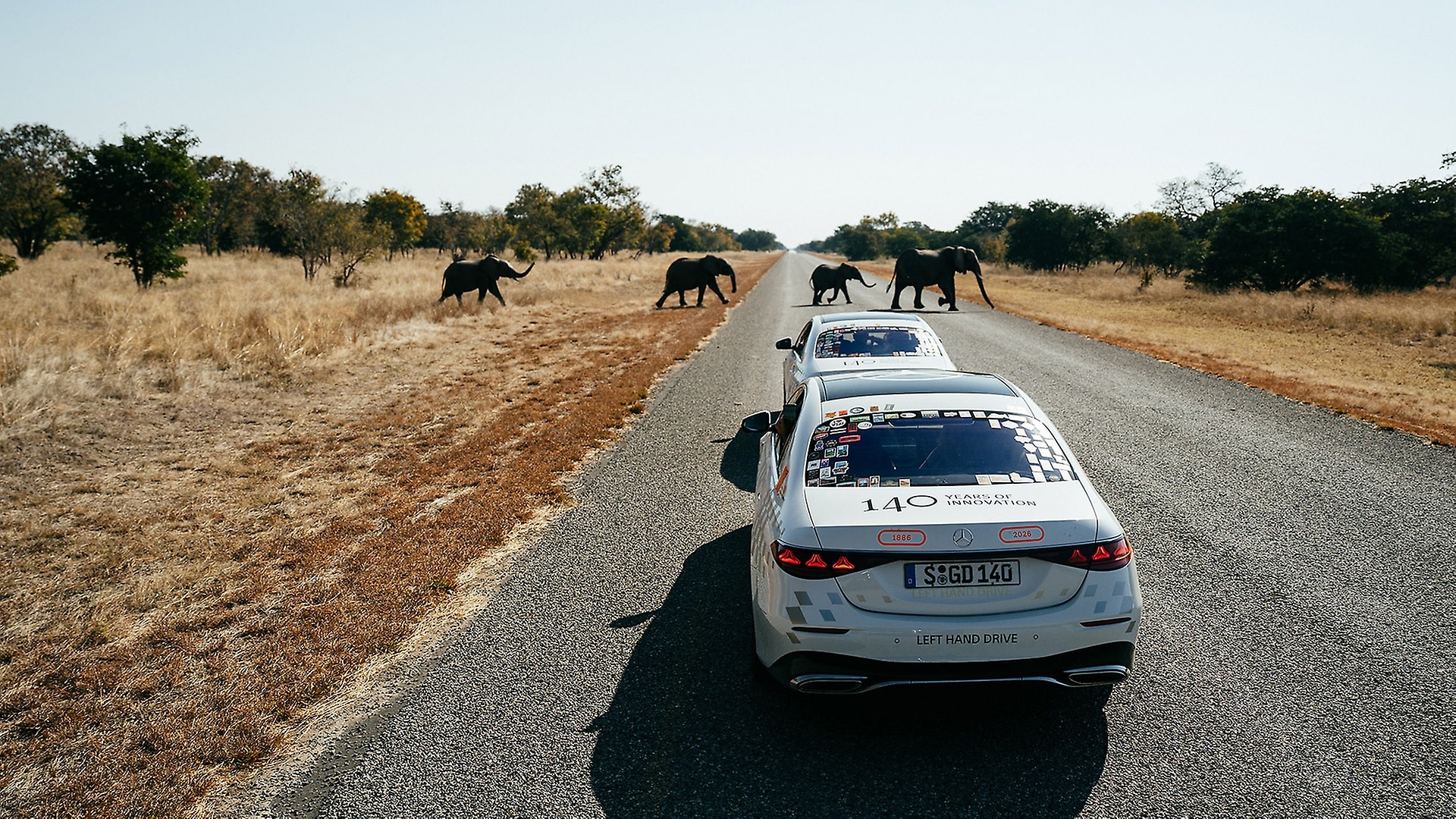 Wildwechsel auf dem Weg von Tansanias Hauptstadt Dodoma zum Chobe-Nationalpark in Botswana.