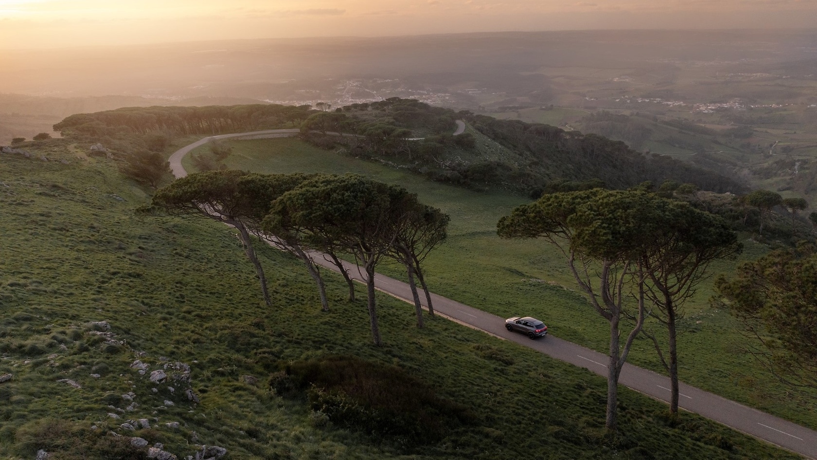 Mercedes-Benz against illegal deforestation.