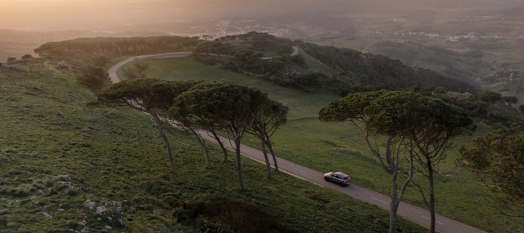 Mercedes-Benz against illegal deforestation.