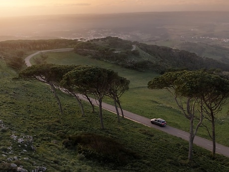 Mercedes-Benz against illegal deforestation.