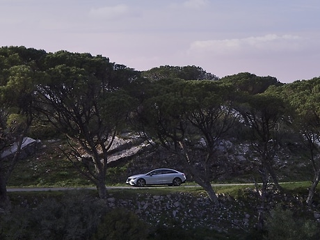 Klima und Umwelt bei Mercedes-Benz.