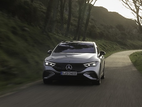 Environmental Check at Mercedes-Benz.